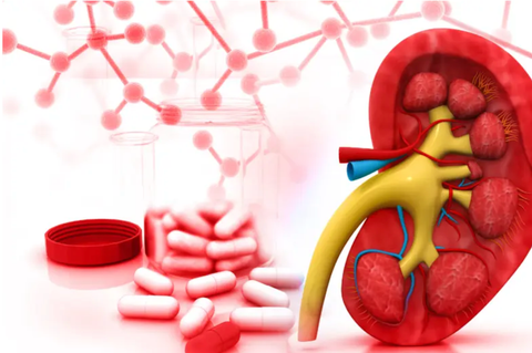 Antibiotics/kidney stones ebook