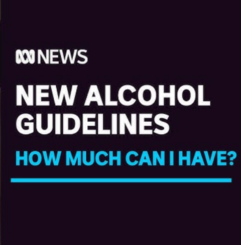 Your Brain and Alcohol Guides