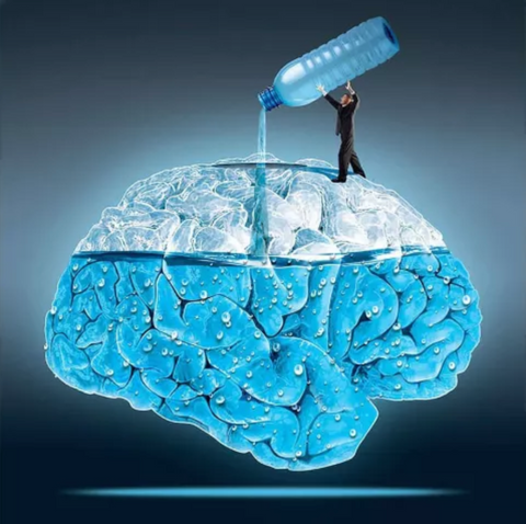 Water and Brain Health ebook